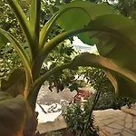 Διαμέρισμα Marija *
